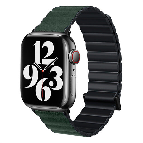 Magnetic Absorption Two-color Watch Band