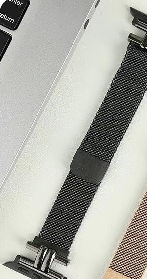 Triomphe Magnetic Milan Metal Watch Band